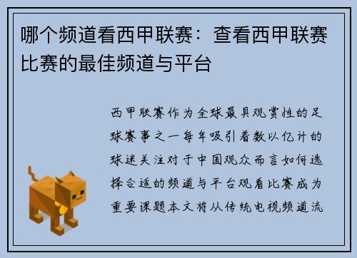 哪个频道看西甲联赛：查看西甲联赛比赛的最佳频道与平台