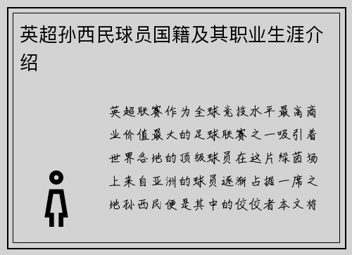 英超孙西民球员国籍及其职业生涯介绍